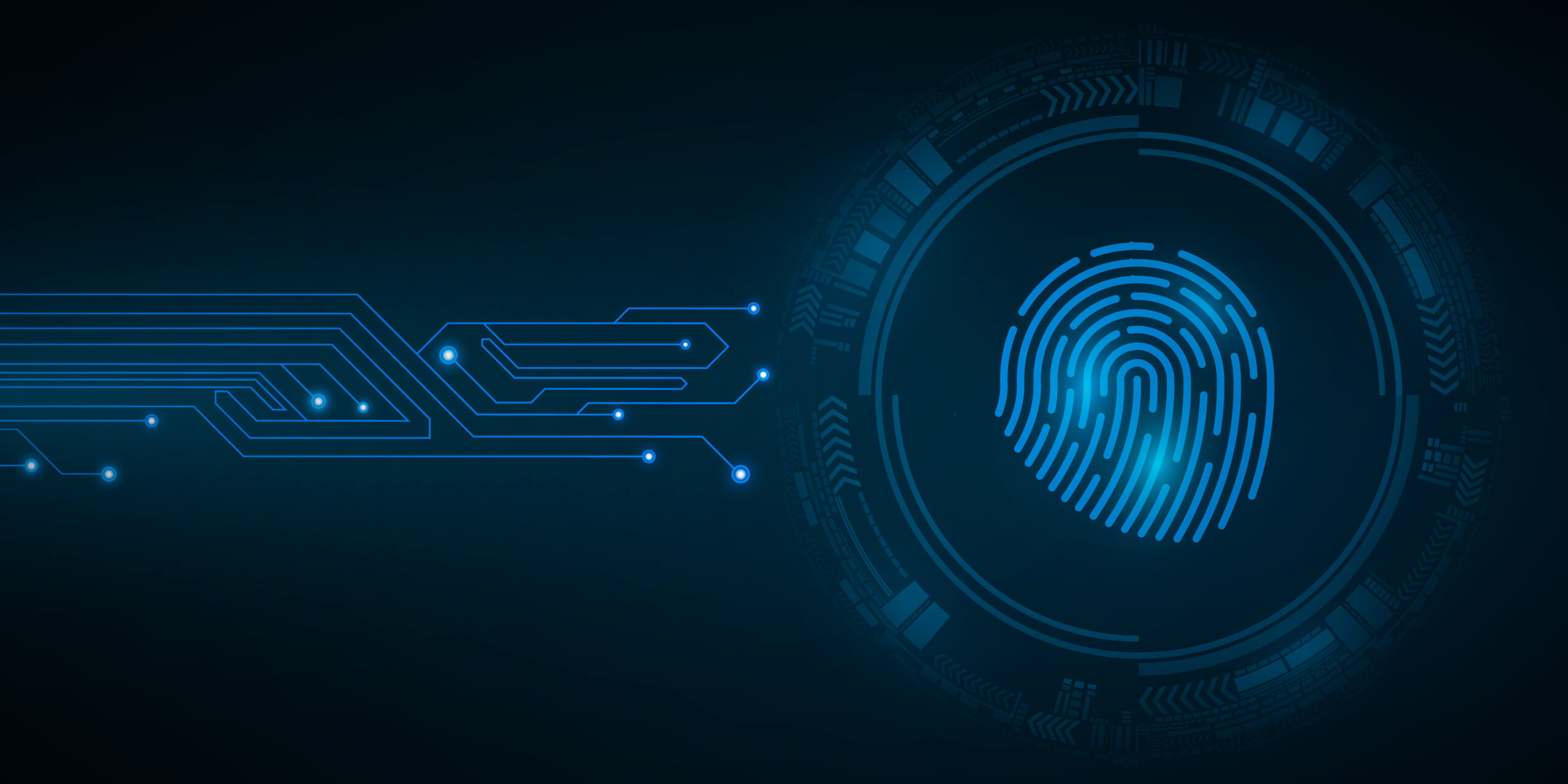 New Digital Fingerprints 