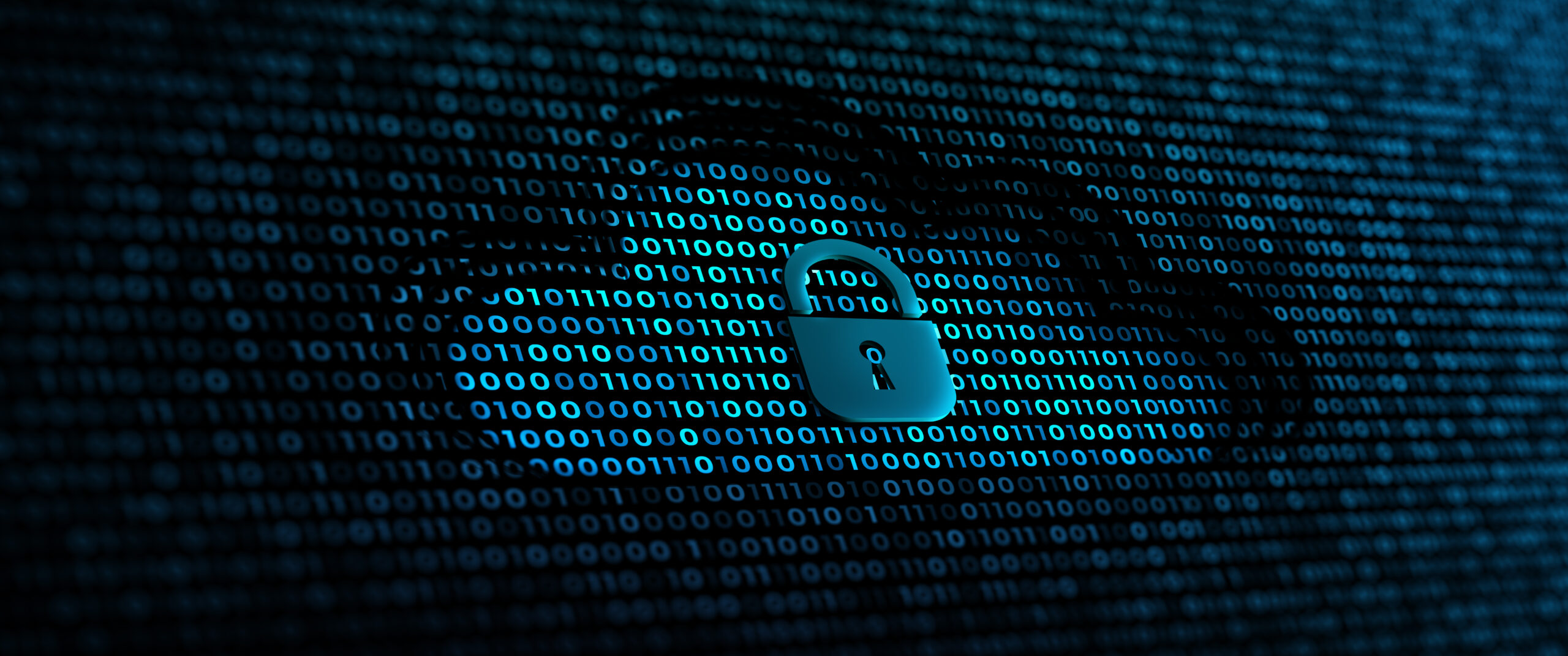 When Cybersecurity Meets Privacy